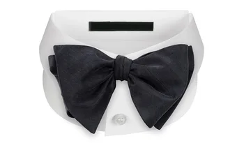 butterfly bow tie