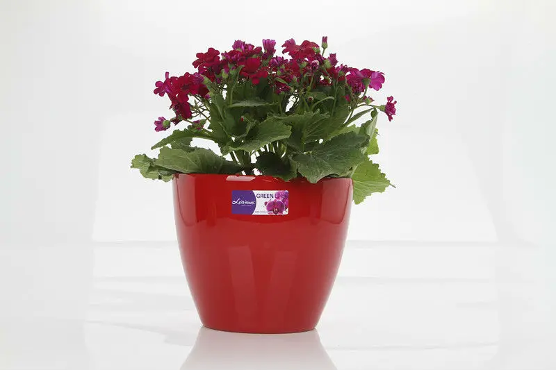 Indoor Smart Garden Self Watering Small Mini Cheap Factory Planter