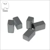 8 Pack Powerful Over 33 Lbs Pull Force Strength 60 x 10 x 5 mm Rare Earth Metal Neodymium Bar Magnets