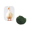 High Quality Brown Algae P.E/Spirulina Algae Extract/Chlorella Algae Powder