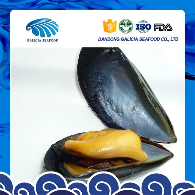 iqf blue mussel