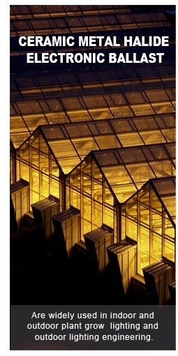 ceramice metal halide.jpg