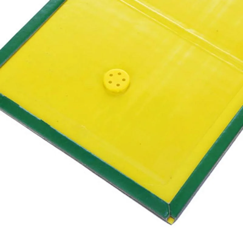 Rat Glue Trap