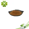 /product-detail/wholesale-fenugreek-seeds-extract-powder-4-hydroxyisoleucine-60651745999.html