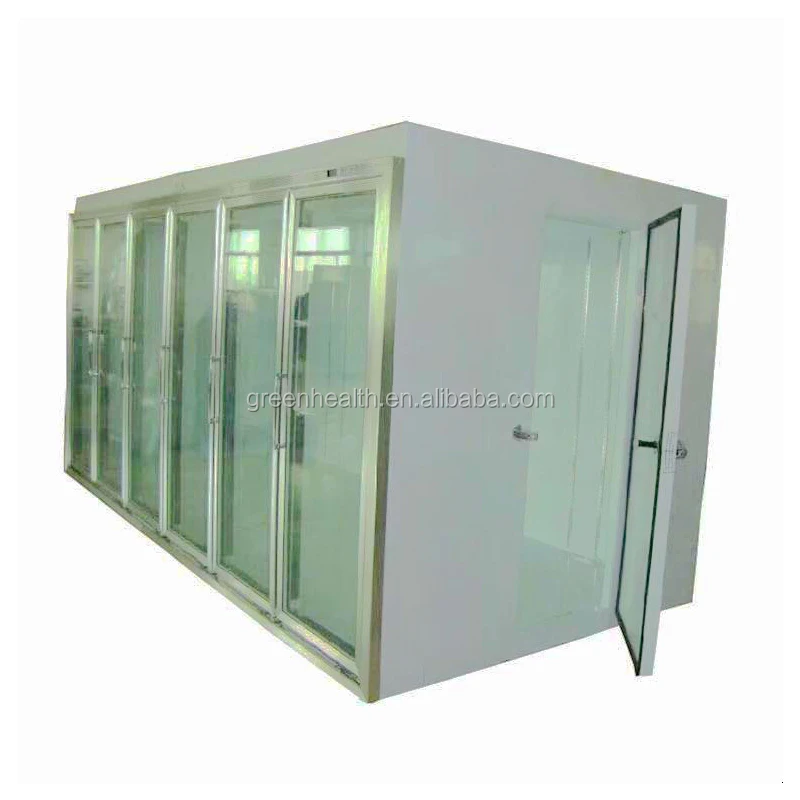 3 Doors Built In Assembled Freezer Chiller Display Cabinet Back