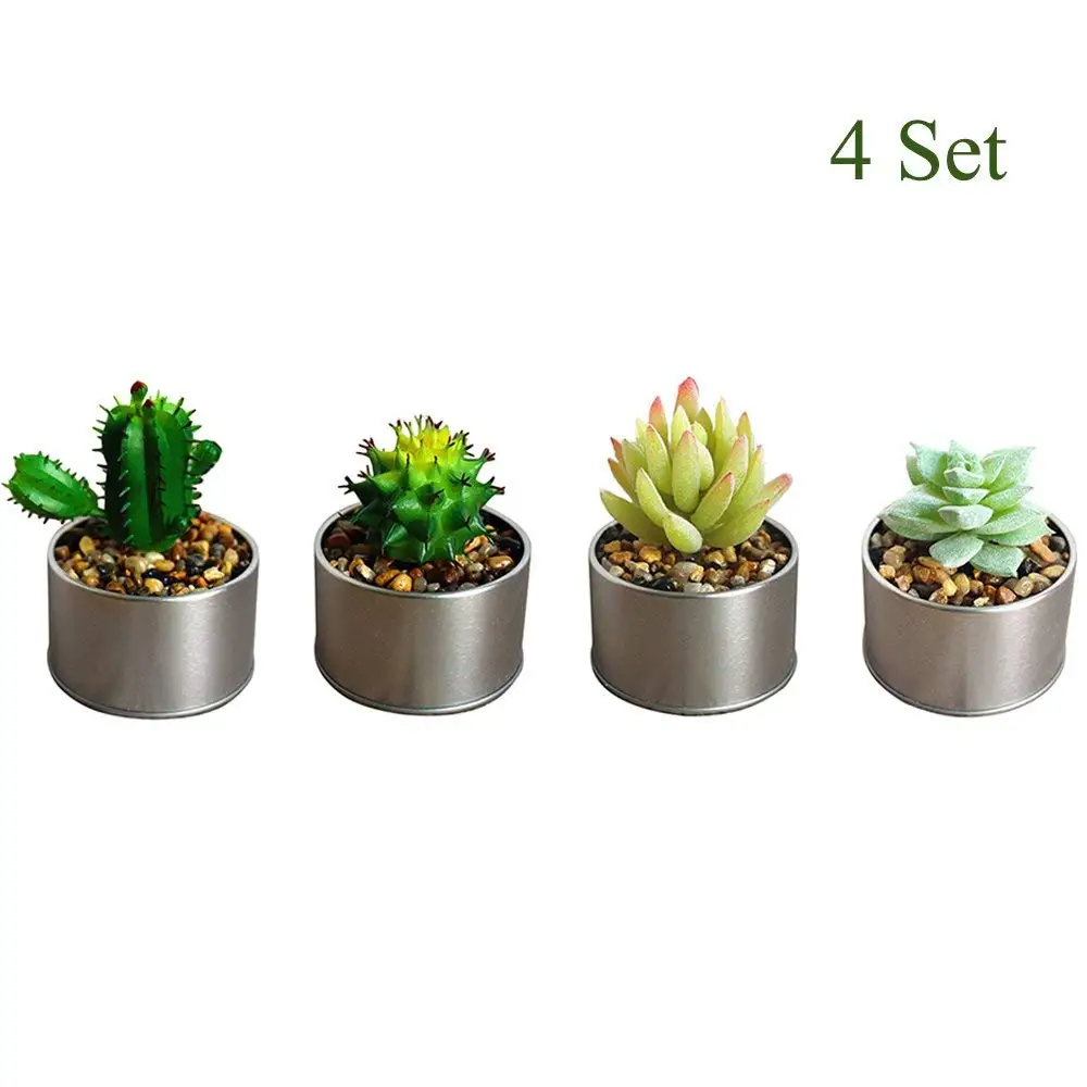 Multi Potted Cacti /& Succulent Plants Themed Appetizer Dessert Party Paper Plates 16 Count