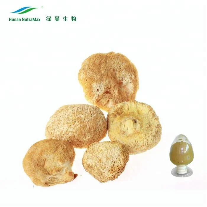 Hericium erinaceus 3.jpg