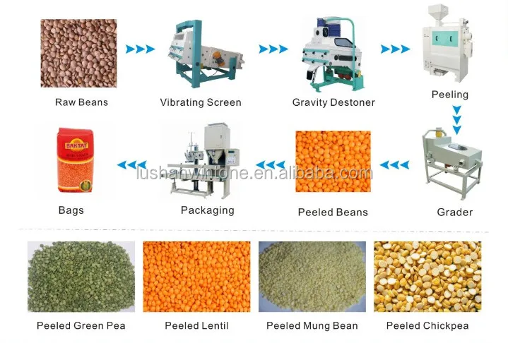 beans peeling line  (2)