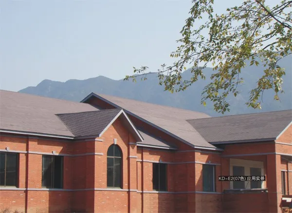 asphalt shingle2.jpg