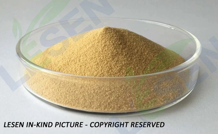 High Quality Best Price Maize Extract Corn Oligopeptides ...