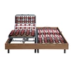 DJ-PW35 Plastic Plots Five Zone Adjust Electric Adjustable bed with bed case