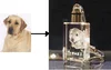 2D photo converwsion into 3D laser software file