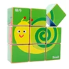 9 Grain 6 Insect Butterfly Wooden Cube Puzzle Toys