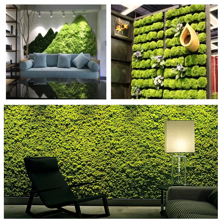 Wholesale Stabilzed Preserved Moss Grass Wall For Decoration - Buy Moss ...