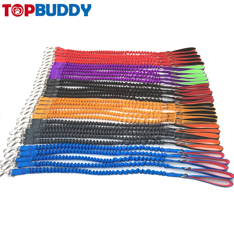 custom color dog leash.jpg