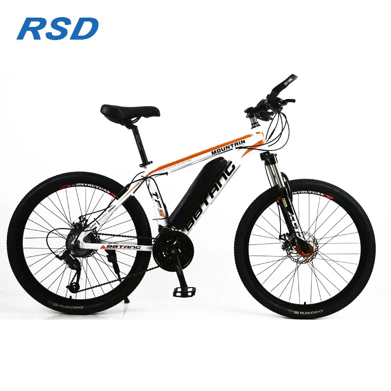 electric bicycle low price