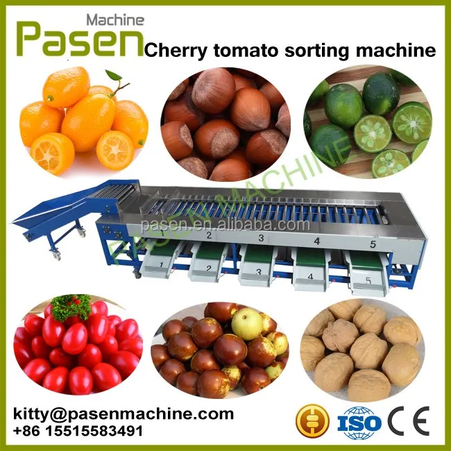 fruit sorting machine.jpg