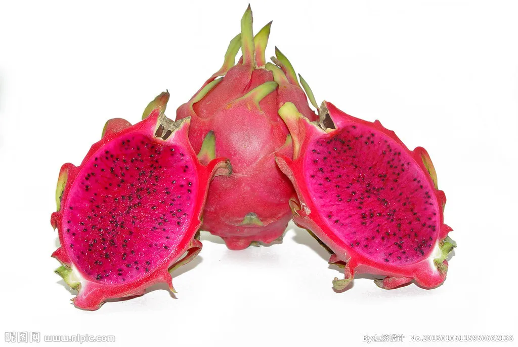 supplier red dragon fruit/ dragon fruit extract powder