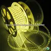 Waterproof ip65 outdoor110v 220v strip 100m/roll led rope light