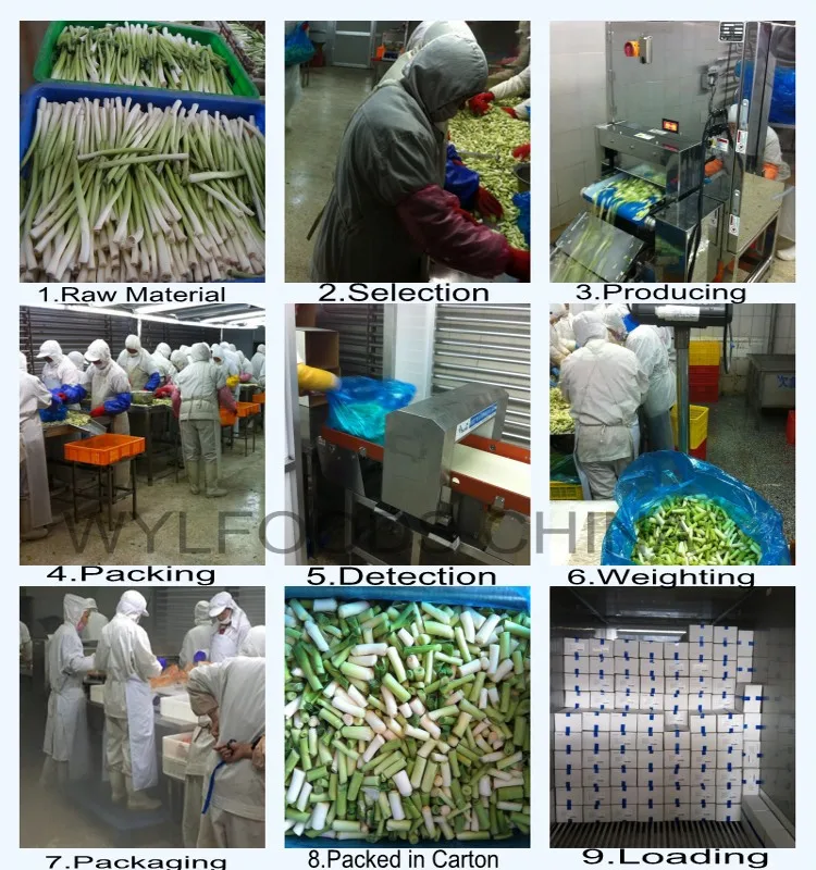 Producing Flow-Green Garlic