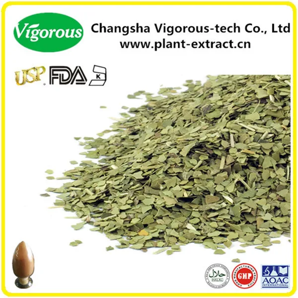 yerba mate extract