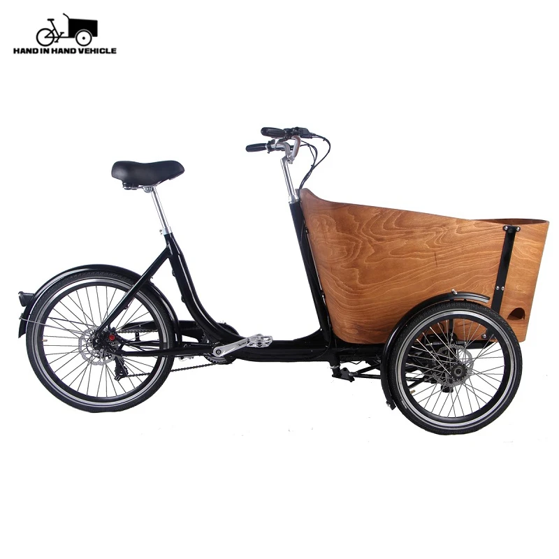 child carrier tricycle