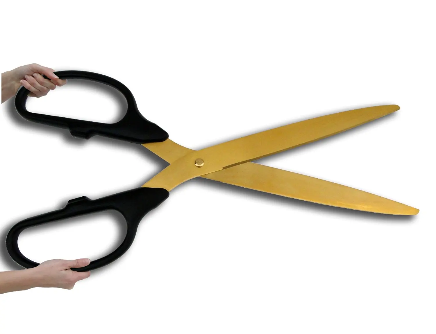 Scissor Party