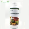 /product-detail/x-humate-brown-seaweed-extract-liquid-agriculture-used-alga-fertilizer-for-grapes-62157499761.html