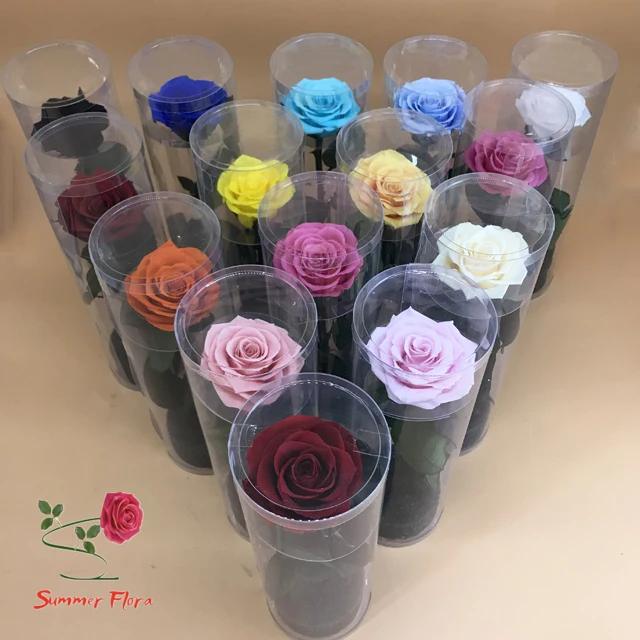 Wholesale Preserved Roses Cheaper Eternal Stabilized Flowers Rose With