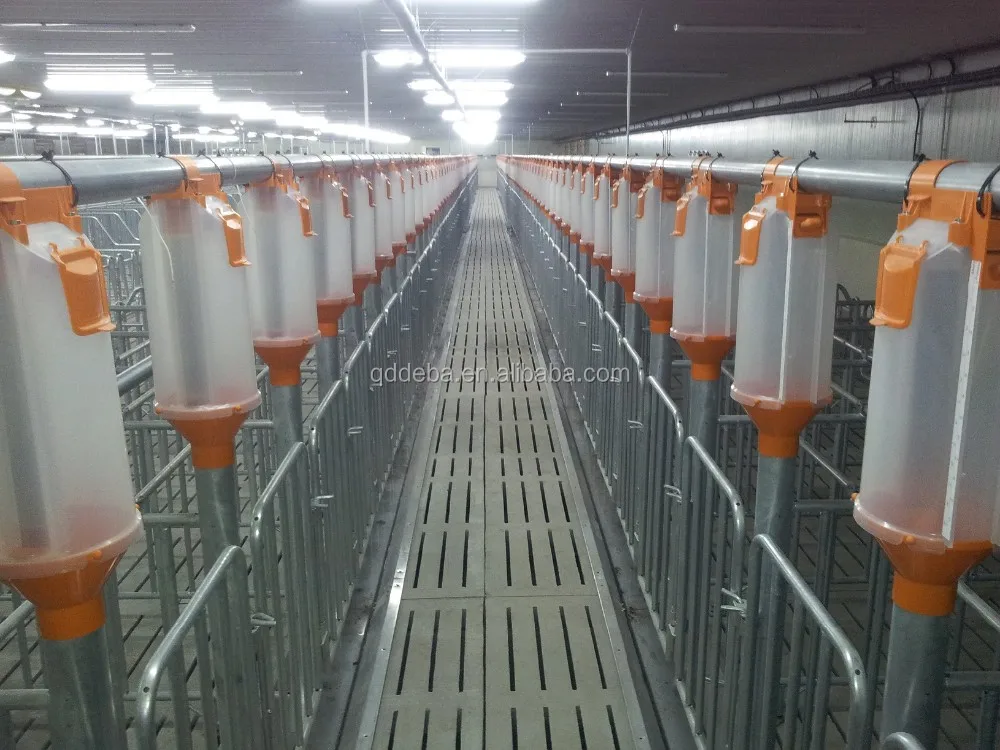 Auto Feeding System Livestock Automatic Feeder Deba Pig Equipment Buy