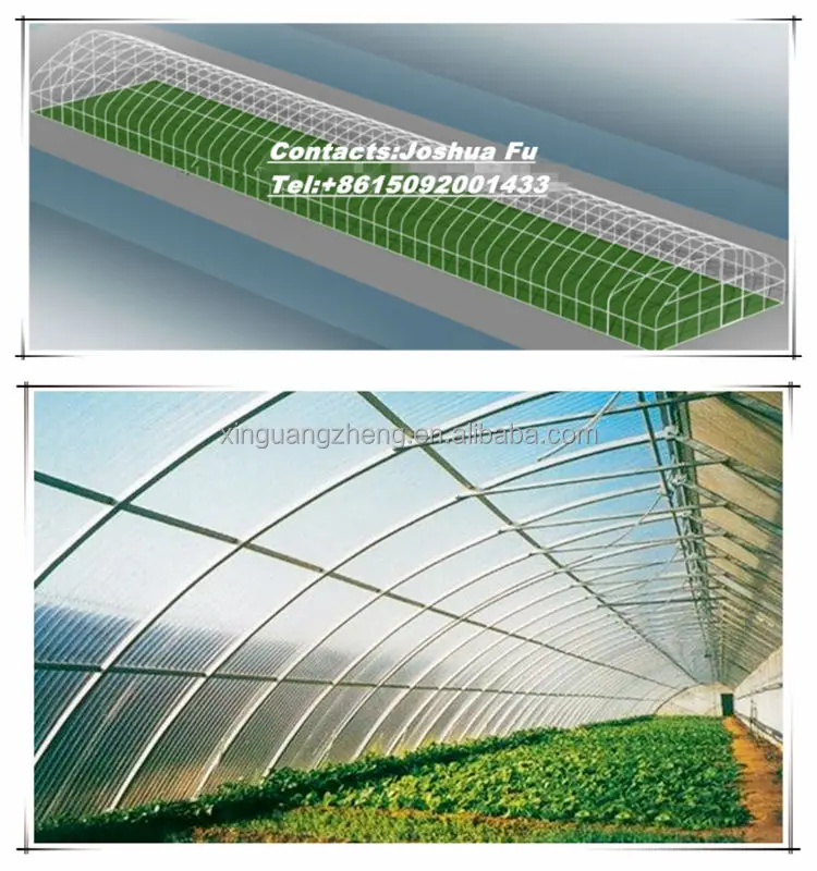 Agriculture galvanized steel structure greenhouse for planting