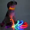 Fashion Leopard LED Dog Collar Flashing In Dark Nylon 3 Mode Lighting Safety LED Pet Collar 2.5cm Wide Luminous Pet Products