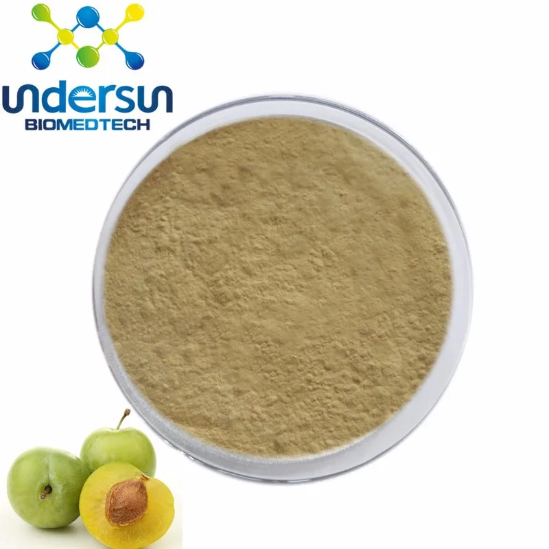 Supply Lower Price High Quality Kakadu Plum Extract Powder Buy Green