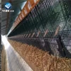 professional manufacturer one layer and two layers mink cage with nest boxes
