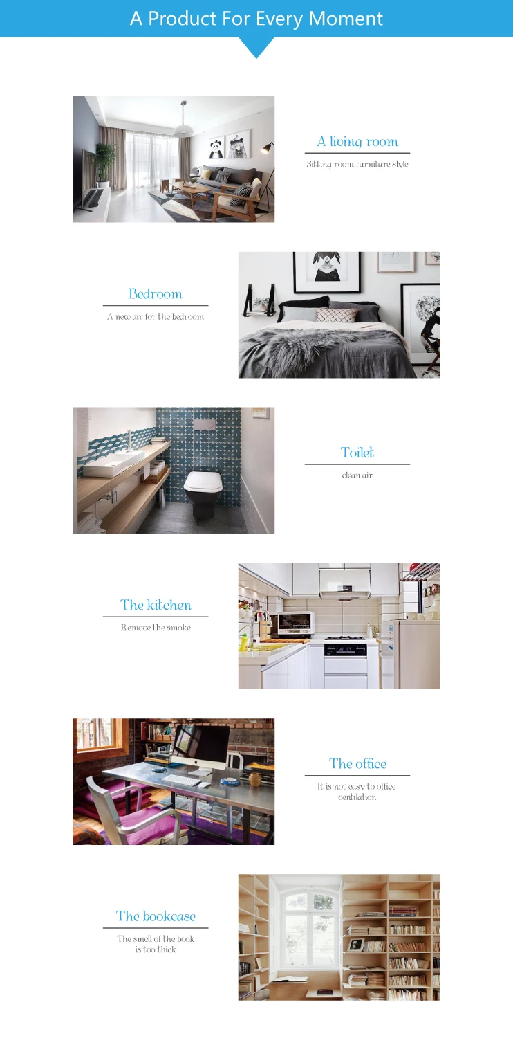 Air Freshener   .jpg