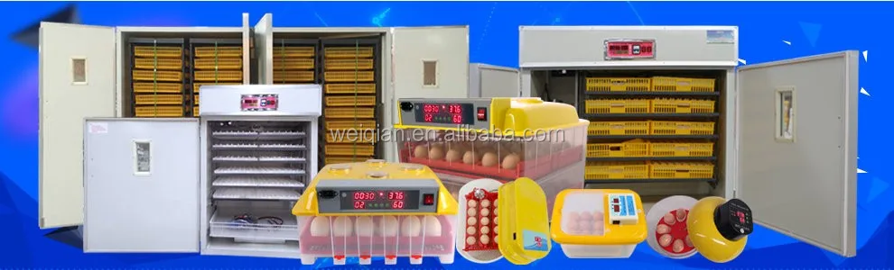 Good Quality & Price Automatic 112 Eggs Mini Chicken Eggs ...