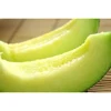 Delicious Fresh Fruit Green Melon Types Of Melons For Daily Eat