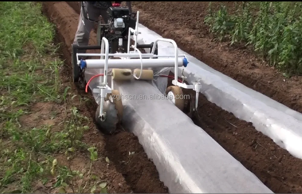 Mulching Machines For Sale Strawberry Turmeric Cultivation