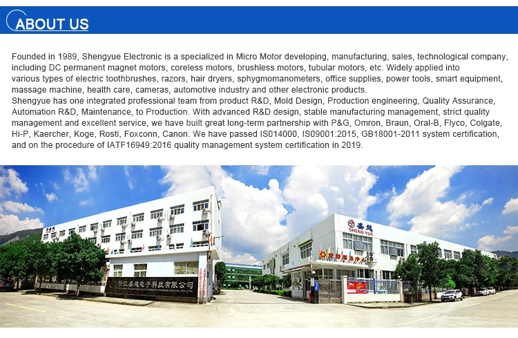 professional high torque low rpm motor 12v dc