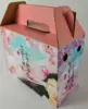 Hight quality Corrugated apple fruit packaging boxes for fruit shipping lemon coconut guava chiku lime dragon