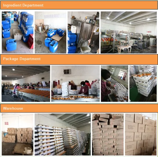 paste-pic-dp_uuid_qz50v