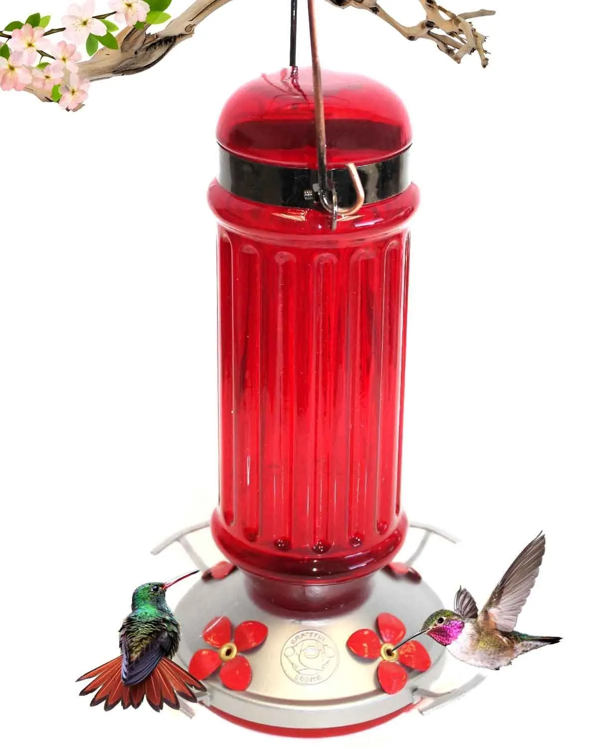 Spring Bird Feeding Promotes Plastic Bottle Re-use Red Gadjit Soda Bottle Hummingbird Window Feeder Fill Plastic Soda Bottle with Nectar Twist on Feeding Tray Suction to Outdoor Window