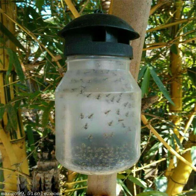 Best fruit fly traps pest sex pheromone lure trap for plant protect
