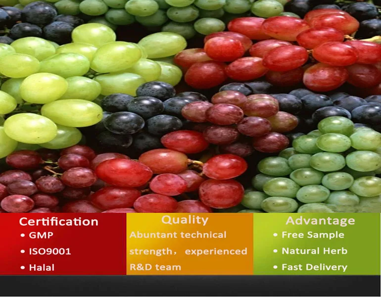 Grape Seeds Extract/grape Seeds Extract Grape Seeds
