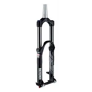 rockshox domain coil