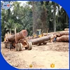 2018 NEW 30-60 diameter 6 meter and up length Radiate pine logs