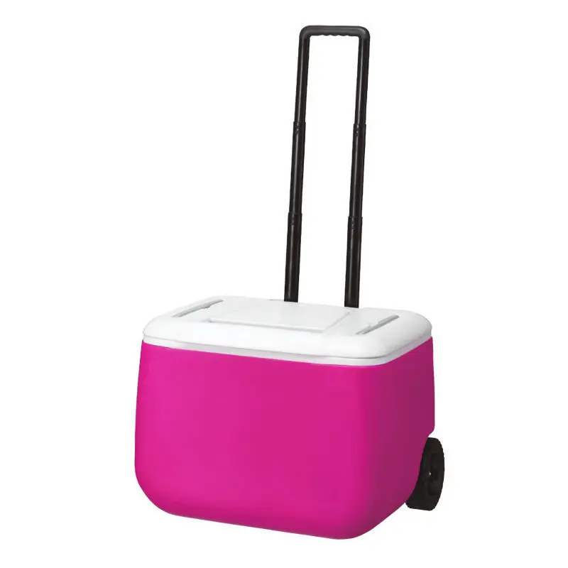 Hard case Plastic trolley Cooler bag box, wheeled hardside Insulated