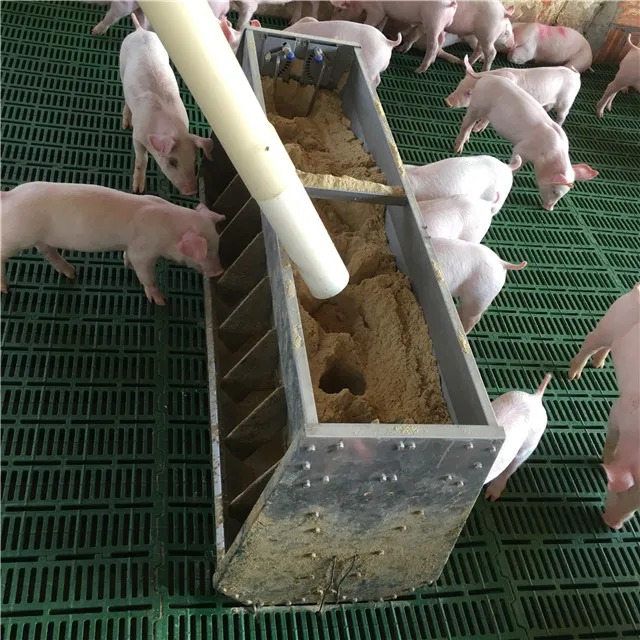 baby pig feeder manufacturer