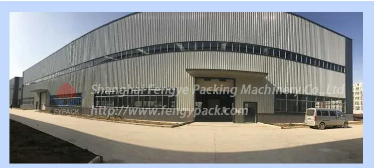 carton box top pressure pallet stretch film wrapping machine