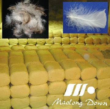 duck feather stuffing